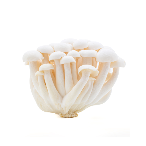 woastore_product_photo (2).png